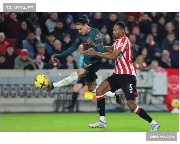 英超第29轮前瞻 伯恩茅斯对阵布伦特福德教练斗法